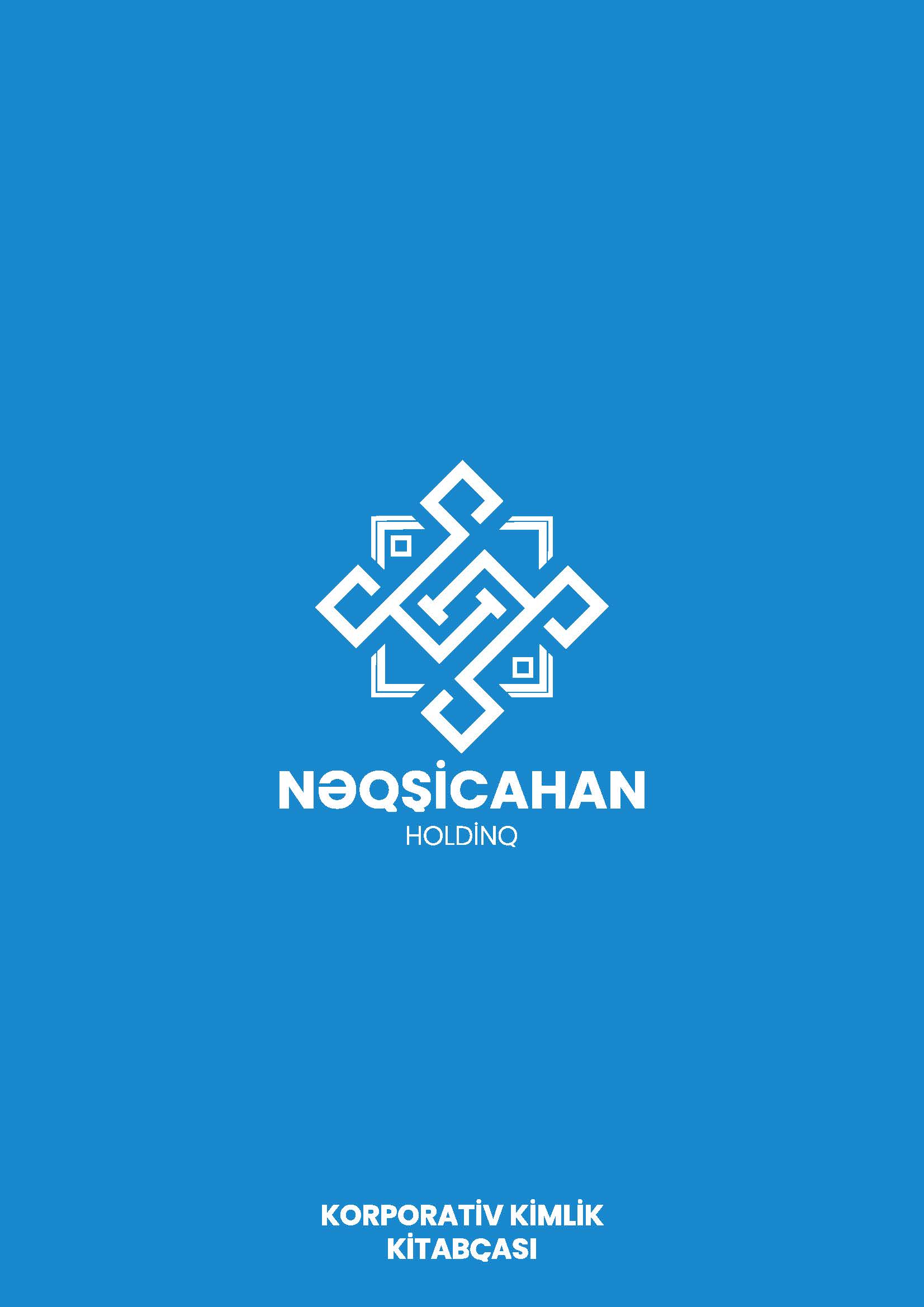 Neqsicahan Holding — example 2